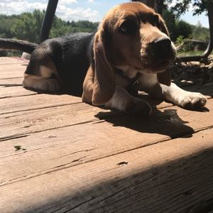 Meet your Posher, Josh